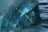 9 Days on Antarctica