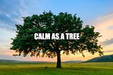 Calm as a tree