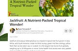 Jackfruit: A Nutrient-Packed Tropical Wonder!