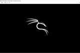 Setting up Kali Linux Environment