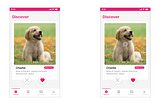 Dating App for Pets | Experience Design