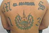 MS-13 Has Nothing To Do With Immigration