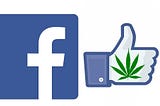 The Top 10 Cannabis Pages To Follow On Facebook [Best Marijuana Facebook Influencers]