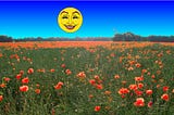 A meadow full of red poppies with a symbolic smiling sun against a deep blue sky