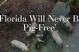 Hog-Tied Part II: ‘Florida Will Never Be Pig-Free’