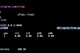 Taking Ollama Global: Access Your Local Instance Anywhere with ngrok