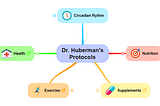 A Mind Map of Dr. Huberman Protocols