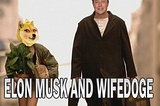 Wifedoge is so beautiful, Elon Musk loves WifeDoge as deeply as Doge.