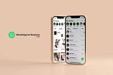 Whatsapp for business redisgn by Imanes or myself