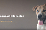 The website banner for pleaseadopthank.com