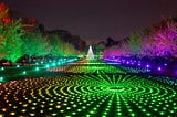 Lightscape at Brooklyn Botanic Garden, New York City (NYC). The entire lawn is covered in greenm red, purple and yellow lights. There is a Christmas tree made entirely out of lights at the far end of the lawn.