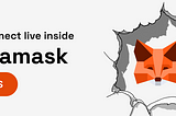 ZNS Connect on MetaMask SPANS: Full Guide + Installation Walkthrough 🦊
