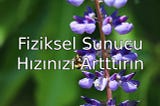 Fiziksel Sunucu ile Sitelerinizdeki Performans Artışı