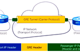 Generic Routing Encapsulation (GRE)