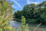 Photograph of the River Severn