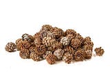 FLORALCRAFT® Salignum Cones x100g — White Wash | Michael Dark