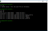 Linux-Terminal unter Windows mit CygWin