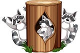 4 Most Popular Raccoon Book For adults