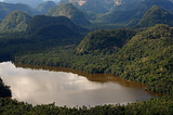 Comunidad indígena Kichwa lleva ante los tribunales al Estado peruano y al Parque Nacional…