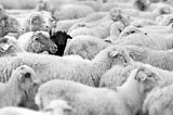 Outliers: What it Means to be Different