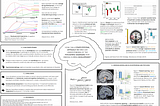 Computational Neuroscience on Psychiatric Disorders that emerge during Development