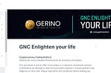 GrowthWire News: Why You Should Invest in Gerino Projects: A Comprehensive Overview