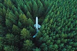 Um avião no meio de uma floresta, perdido.