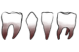 Teeth