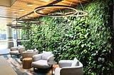 A variety of lush green plants covering a floor to celing wall. Infront are some chairs and tables.