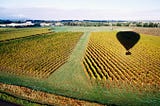 Australian Grape Fields