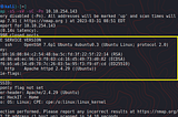 TryHackMe “RootMe” Writeup