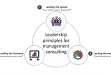 How to be a Leader as a Management Consultant: Lessons Learned