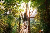 Women walk a wooden planked bridge high up in the tree tops of the jungle.