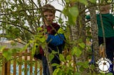 Child peering through the trees in the Beach Babies garden