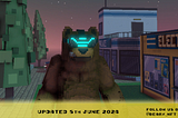 The Heart of BearX: Innovating Through Adversity