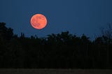 Earth & Us: Soaking in the Summer Solstice, 2025