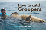 How to Catch Groupers | Tips & Tricks for Grouper Fishing