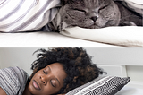 Catnaps are good for your Mental Health