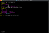 Vim editor showing the contents of setup.sh for a streamlit app