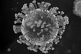 Stop calling Coronavirus ‘the great equaliser’