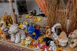 Chez Tina, toiletteuse pour chien, à Quimper