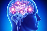 The tortuous trail of brain development