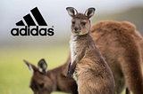 Adidas Ends Use of Kangaroo Leather After Pressure from Animal Welfare Groups