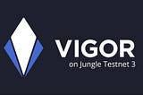 Getting Started with Vigor on Jungle 3