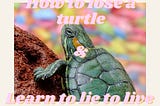 The Story of Addiction, Lies and a Runaway Turtle