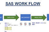 SAS DATA STEP PROCESS