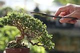 Top Tips for Pruning and Shaping Your Fastest Growing Bonsai Trees: Expert Insights