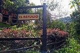 REGRESANDO A LA LUZ