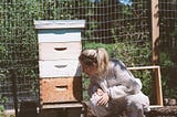 How I started keeping bees — and how you can too!