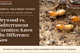Drywood Termites vs. Subterranean Termites: Key Differences